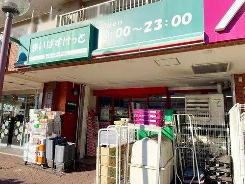 2LDK+S Koto Ward Tokyo Property (25)