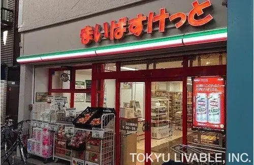 Propiedad 4LDK Barrio de Katsushika Tokio (12)