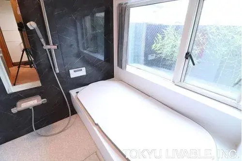 3LDK+S物件 世田谷区 東京都 (9)