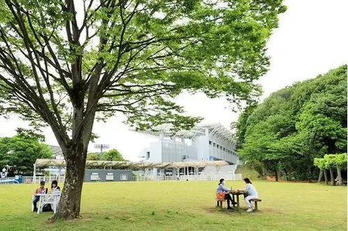 5LDK Property Machida City Tokyo (11)