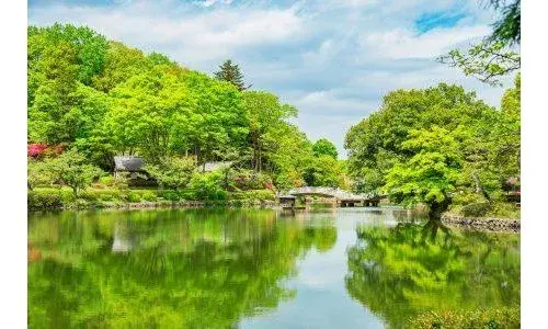 5LDK Property Machida City Tokyo (10)