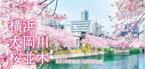 4LDDKK+S Property Yokohama City Minami Ward Kanagawa Prefecture (19)