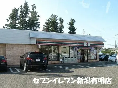 3K Property Niigata City Niigata Prefecture (3)