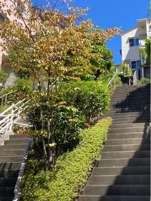 Propiedad 4LDK Ciudad de Nishinomiya Prefectura de Hyogo (7)