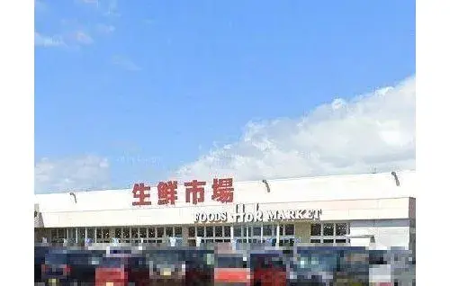 4LDK Property Yonago City Tottori Prefecture (11)