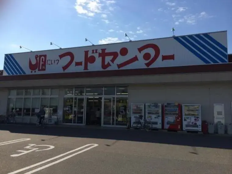 3LDK+S物件 新潟市南区 新潟県 (27)