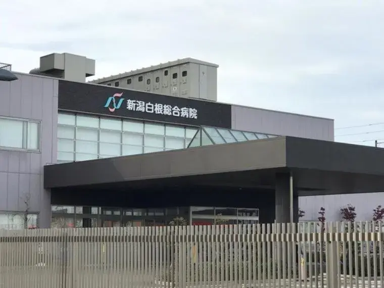 3LDK+S物件 新潟市南区 新潟県 (28)