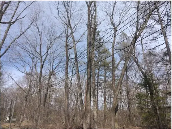 Slide 7