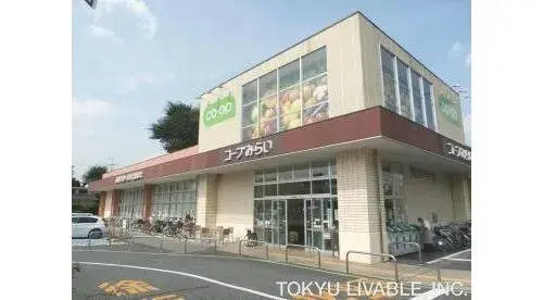 4LDK Property in Suginami-ku, Tokyo (13)