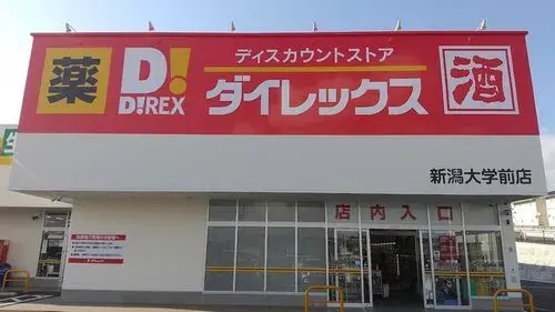 6DK+S 新潟市 新潟県 (18)