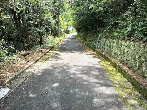 Slide 17