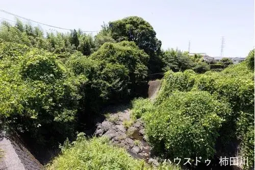 Slide 6