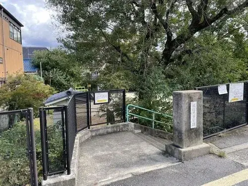 Slide 0