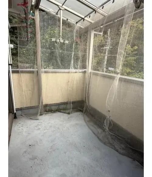 Slide 12