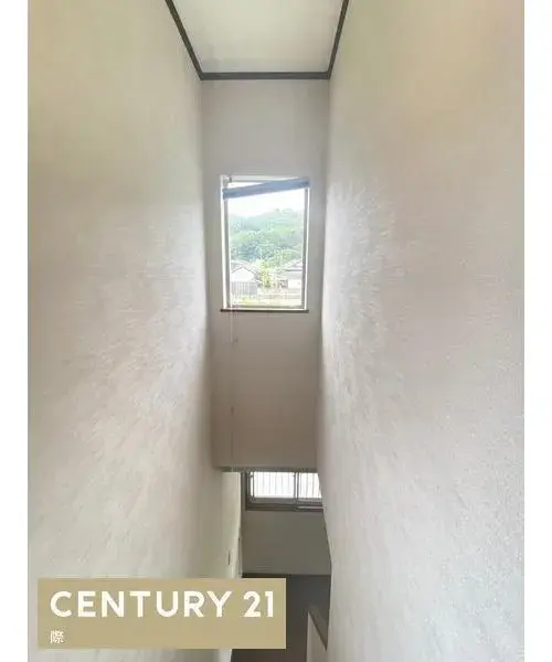 Slide 7