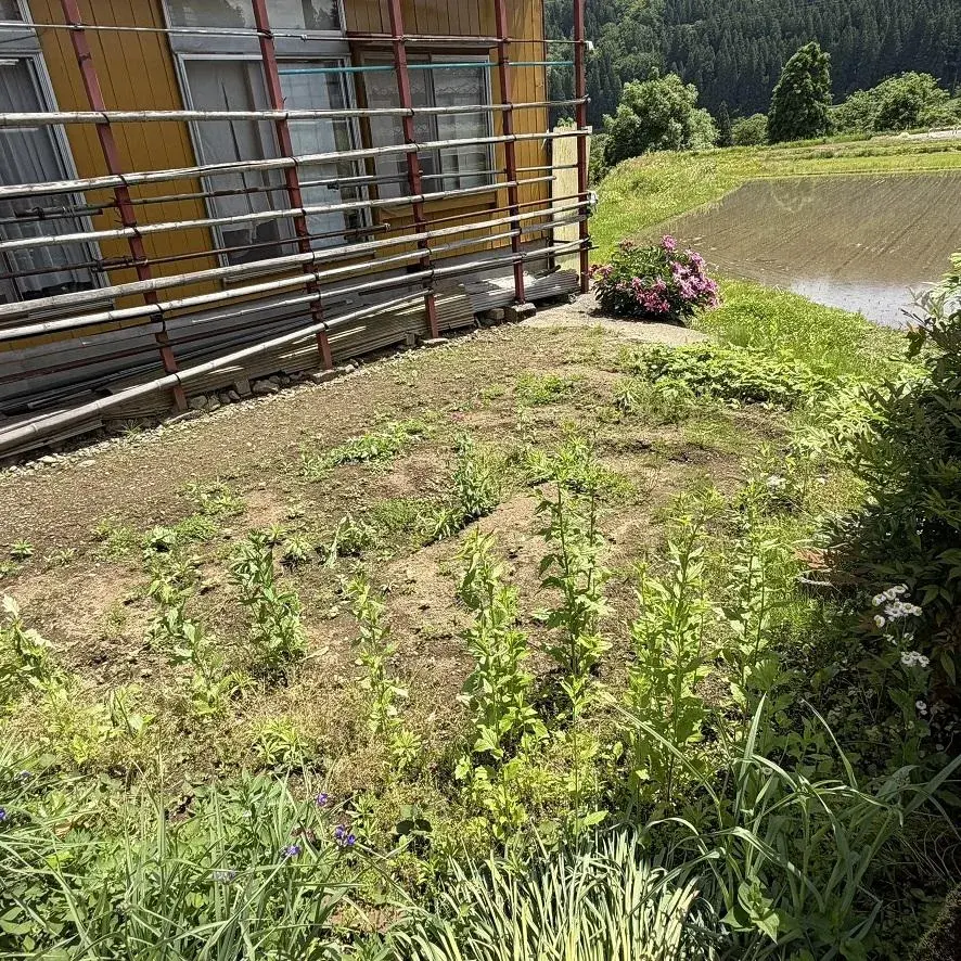 Недвижимость 7DK в деревне Sakae, префектура Nagano (16)