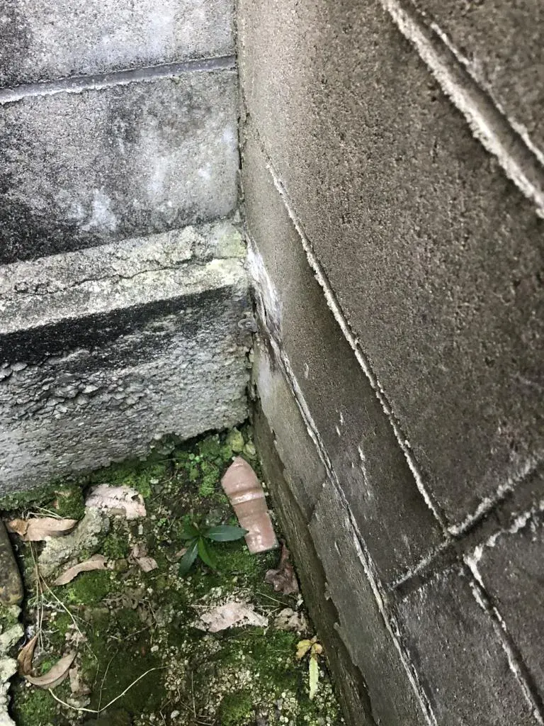 Propriété 7DK, Ville de Nanbu, Préfecture de Tottori (16)