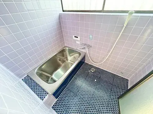 6DK+S Ciudad de Kitaibaraki Prefectura de Ibaraki (15)