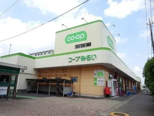 2LDK Property Koshigaya City Saitama Prefecture (19)