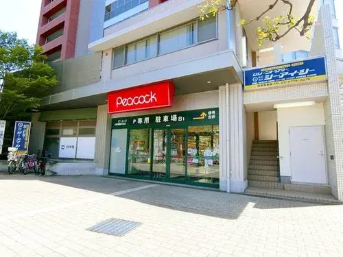 3LDK Property Setagaya-ku Tokyo (3)