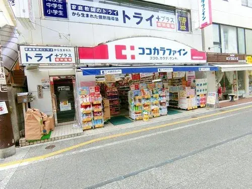 3LDK Property Setagaya-ku Tokyo (6)