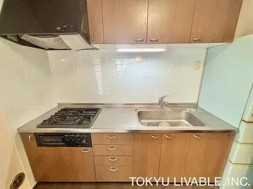 4LDK Property Nakahara Ward, Kawasaki City Kanagawa Prefecture (14)