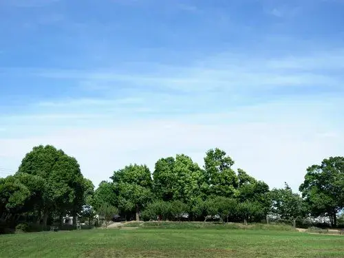 4LDK 横浜市磯子区 神奈川県 (31)