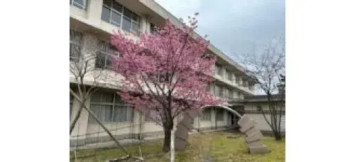 Недвижимость 11DK, город Номи, префектура Исикава (5)