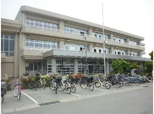 Slide 8