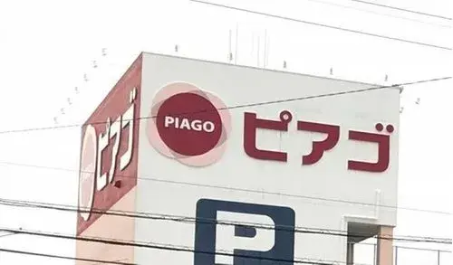 4LDK Property Nagoya City Aichi Prefecture (13)