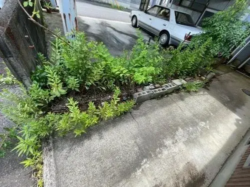 Slide 16