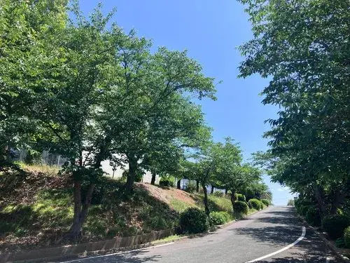 4LDK物件 遠賀町 福岡県 (14)