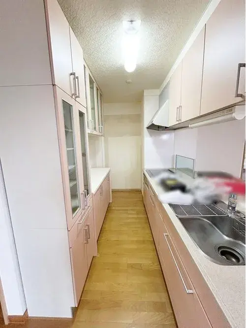 4LDK Sapporo Nishi Ward Hokkaido (13)
