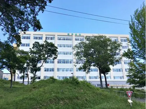 Slide 17