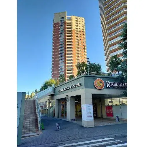 LDK 15+ Tatami, Walk-in Closet, 3+ Story Property Chuo Ward, Tokyo (9)