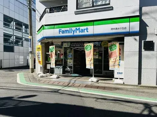 3LDK+S Property Fuchu City Tokyo (5)