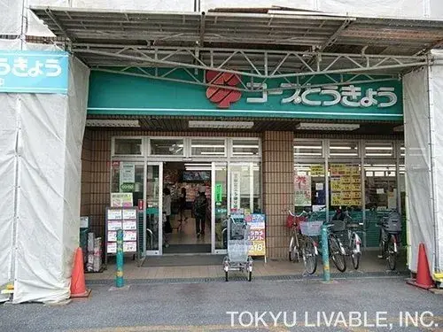 Propriété 4LDK Itabashi-ku Tokyo (14)