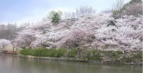 神奈川県横浜市4LDK物件 (11)