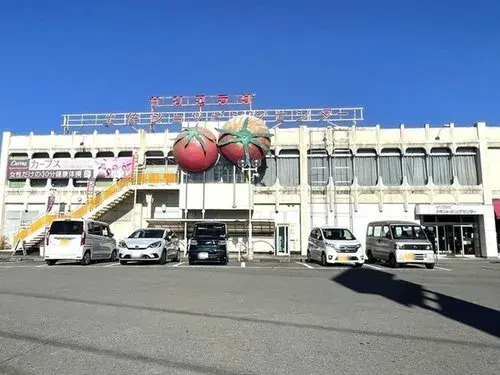 6LDK Kochi Prefecture Tosa City Property (7)