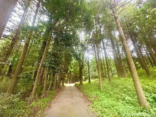 5DK物件 阿蘇市 熊本県 (21)