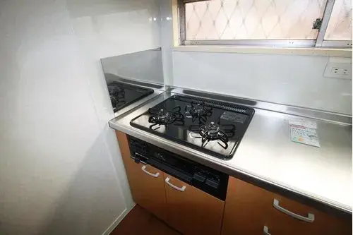 4LDK Property Kagoshima City Kagoshima Prefecture (13)