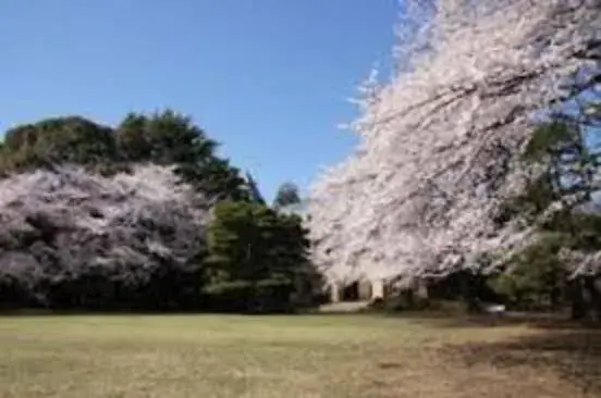 Tokyo Setagaya-ku 3LDK Property (17)