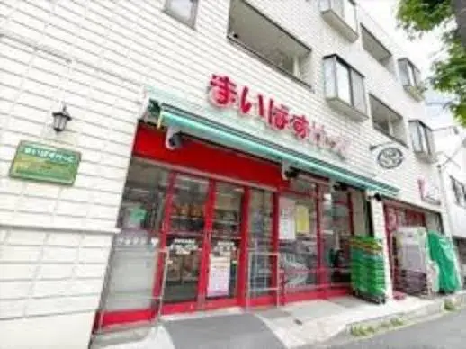 Tokyo Setagaya-ku 3LDK Property (18)