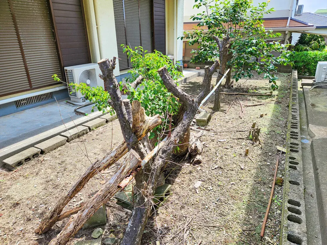 3LDK Property Makurazaki City, Kagoshima Prefecture (14)