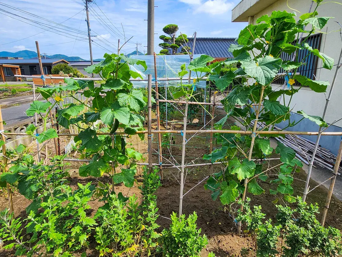 3LDK Property Makurazaki City, Kagoshima Prefecture (42)
