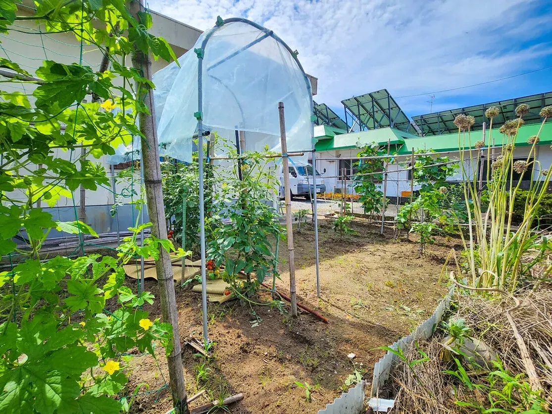 3LDK Property Makurazaki City, Kagoshima Prefecture (43)