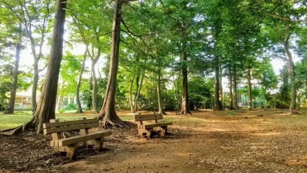 3LDK Property Yachiyo City Chiba Prefecture (31)