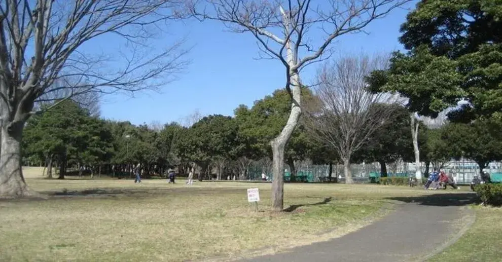 3LDK房产 沼津市 静冈县 (29)