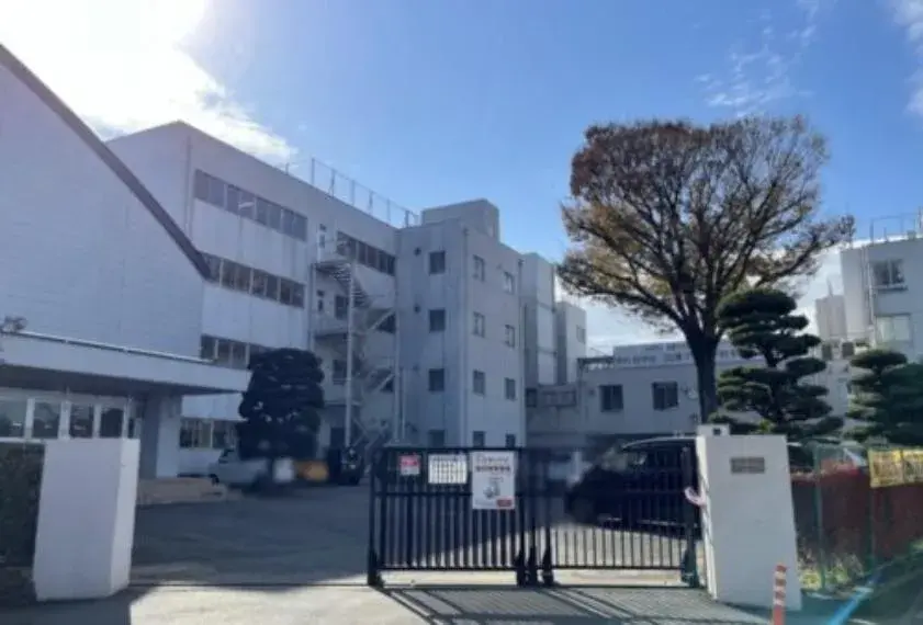Slide 8