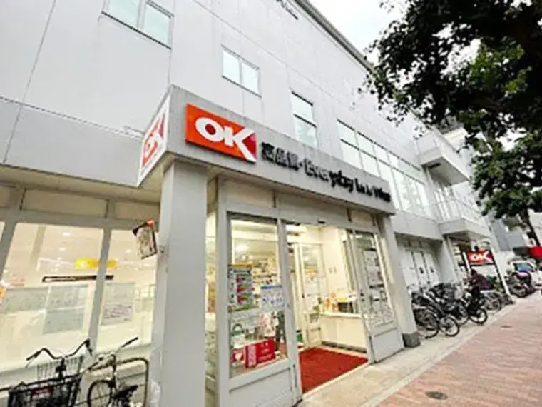2LDK Shinjuku Ward Tokyo Property (10)